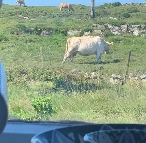 Holiday home Pink Ballyconneely